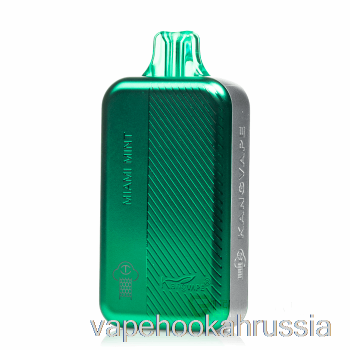 вейп сок Kangvape Tc8000 одноразовый Майами мята